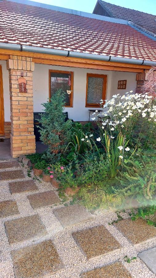 Mandula Apartman Σέγκεντ Εξωτερικό φωτογραφία
